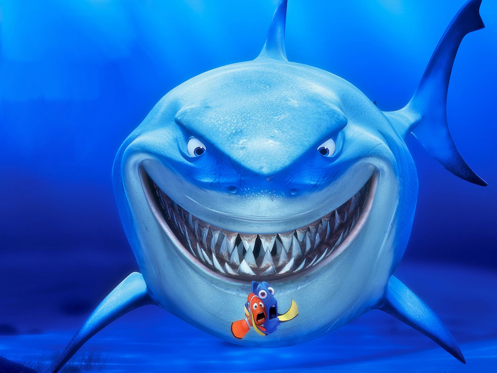 Finding Nemo Shark Grinning - HD Wallpaper 
