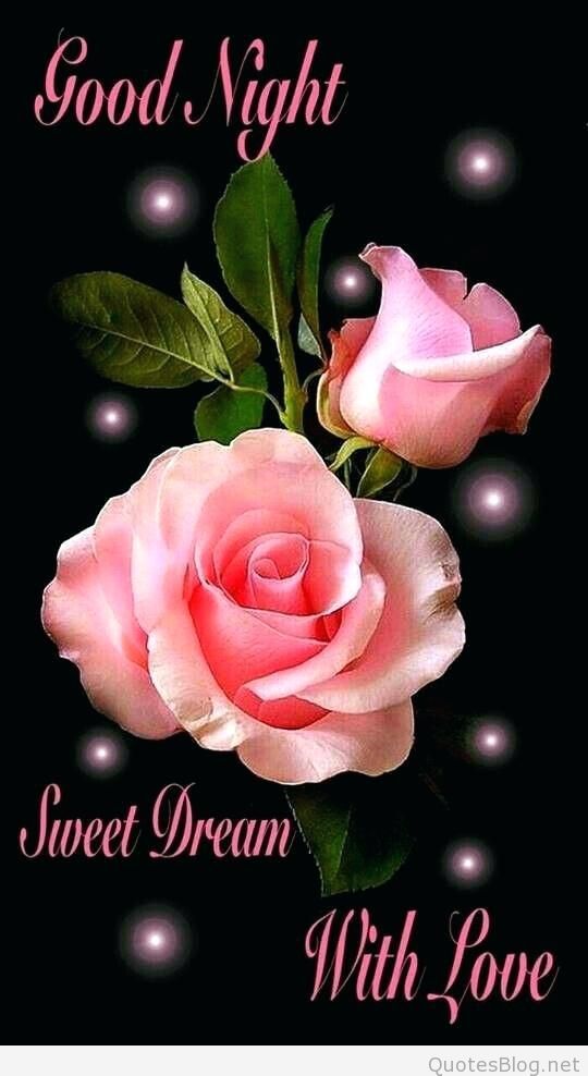 Good Night Love Flowers - 540x988 Wallpaper Good Night Love Flowers - 540x988 Wallpaper