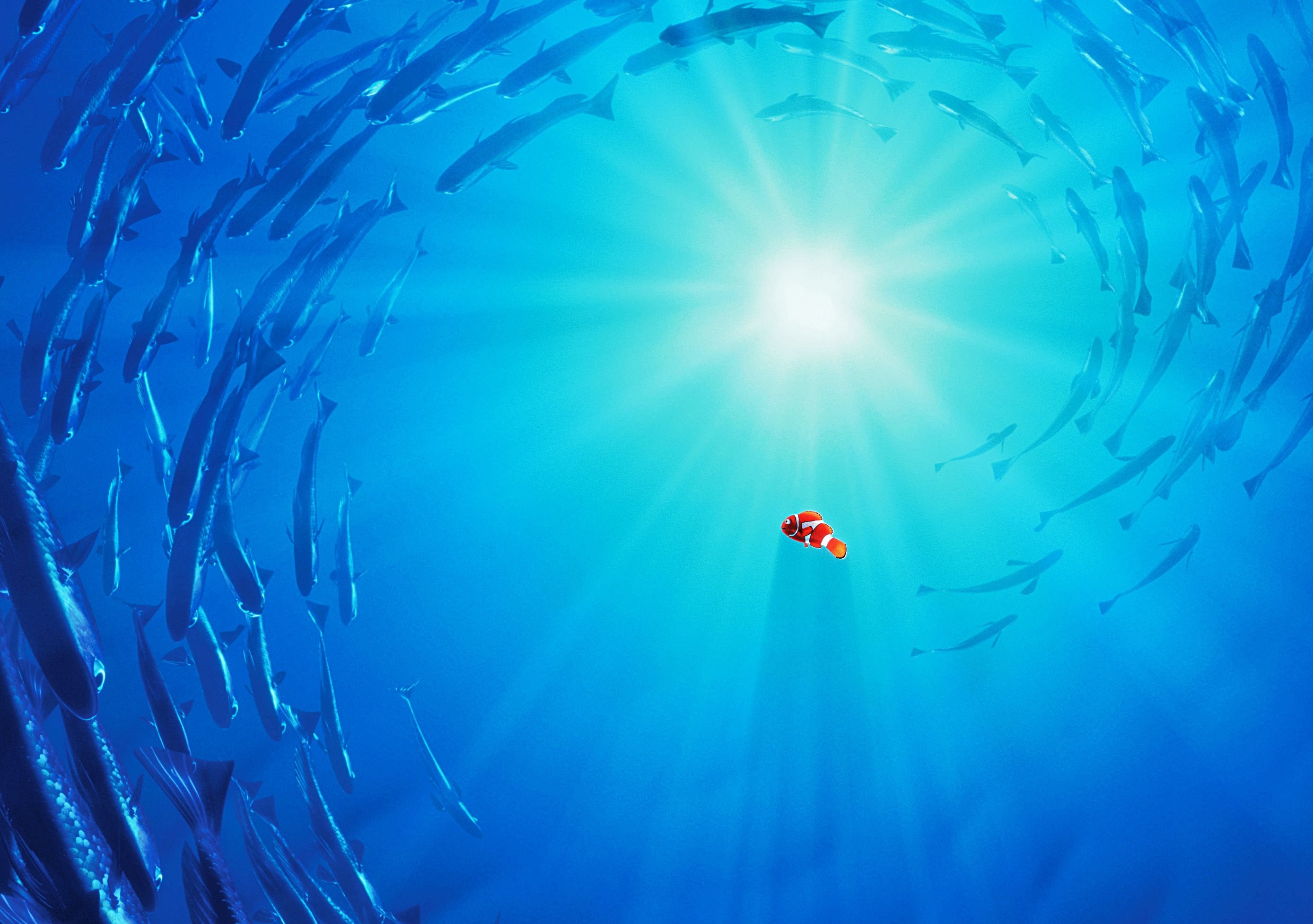Background Wallpapers Â - Finding Nemo Backgrounds - HD Wallpaper 