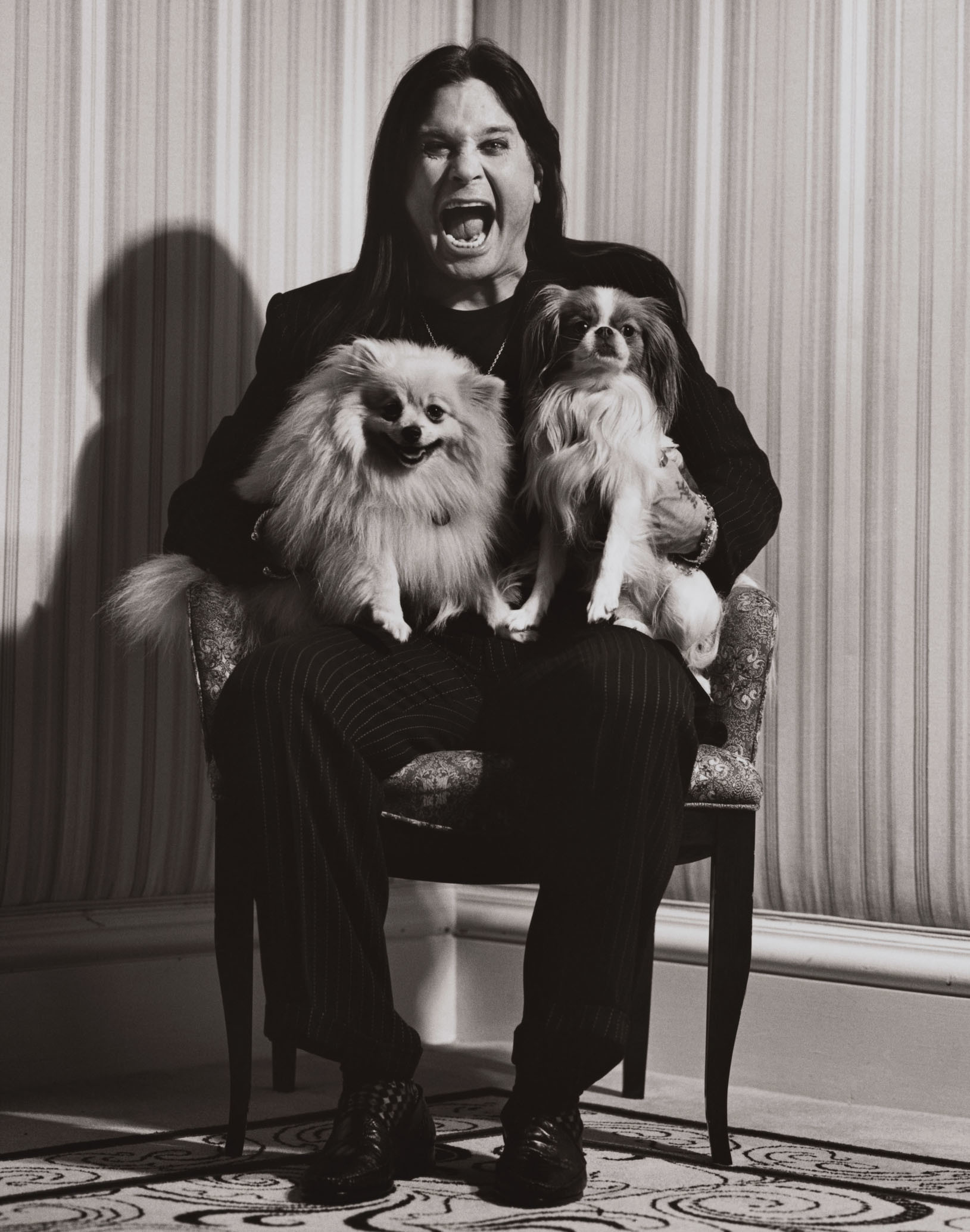 Ozzy Osbourne 
 Data Src Vertical Ozzy Wallpaper For - Ozzy Osbourne And His Dogs - HD Wallpaper 