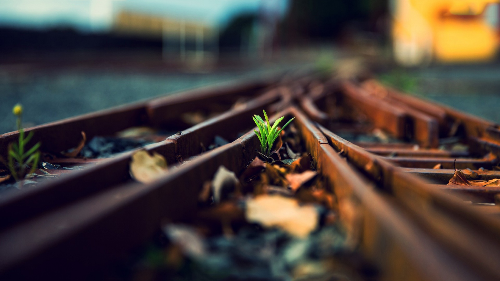 High Quality Railway Wallpaper Full Hd Pictures - Close Up Photography Hd - HD Wallpaper 