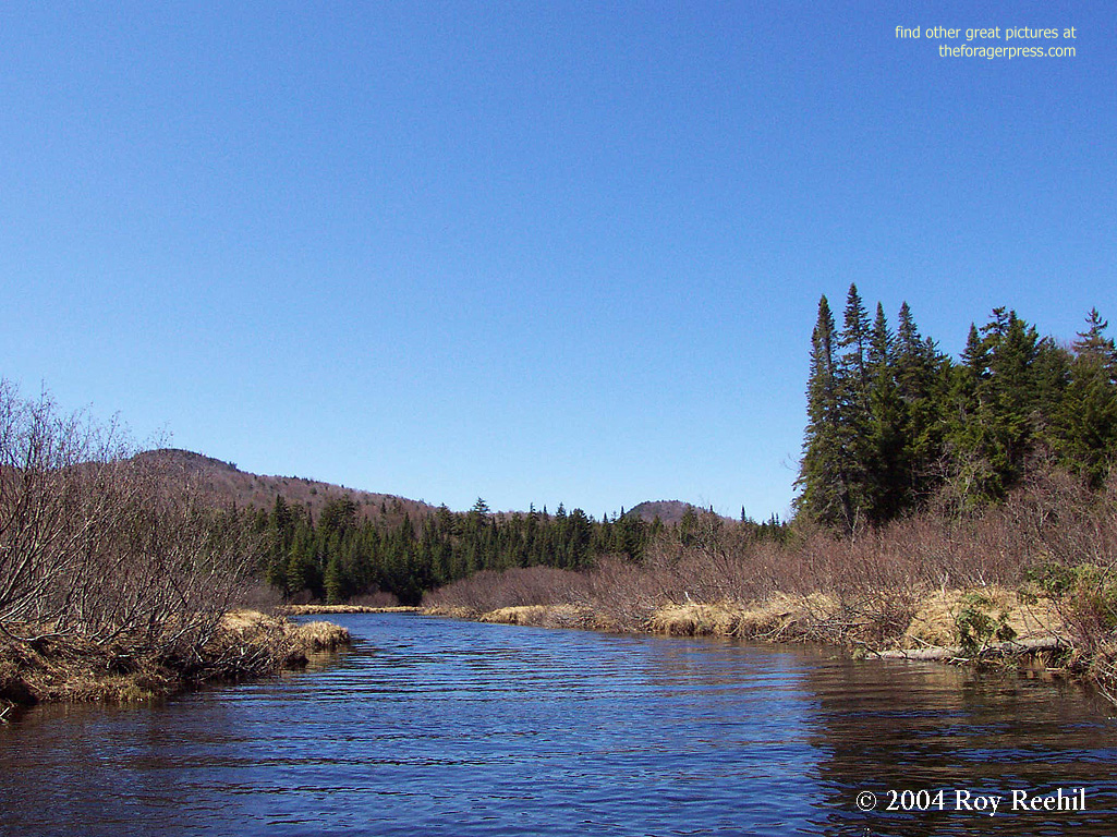 Creek1024 - Mountain River - HD Wallpaper 