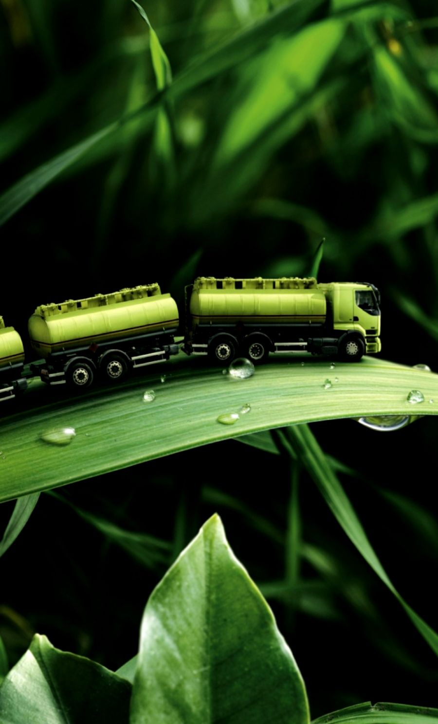 Green Train On Leaves Android Wallpaper Free Download - Nature Photography Manipulation - HD Wallpaper 