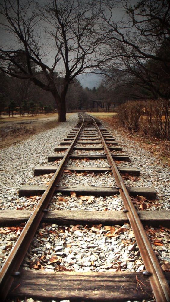 Railway Track With Train Photography - 564x1001 Wallpaper 