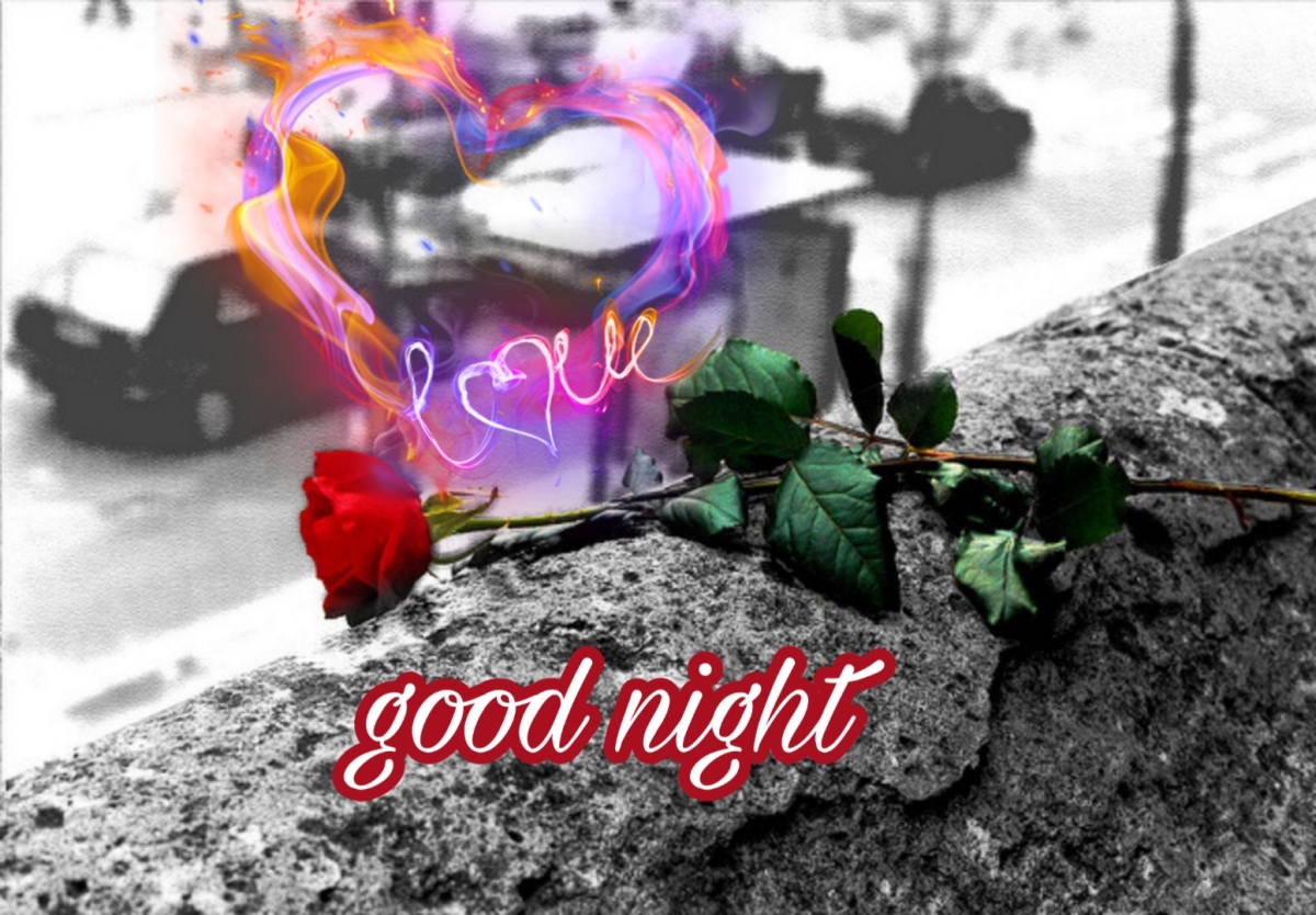 Good Night With Rose - Rose Good Night Images Hd - HD Wallpaper 