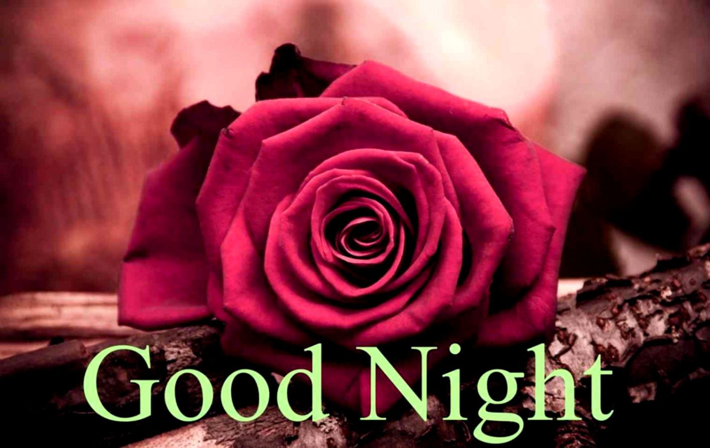 30 Best Good Night Images Pictures With Most Beautiful - Rose Flower Wallpaper Desktop - HD Wallpaper 