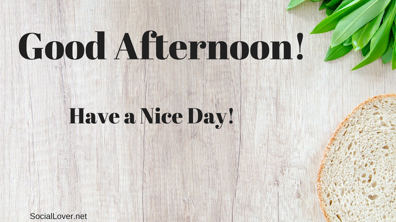 Good Afternoon - Good Afternoon Hd Quotes - HD Wallpaper 