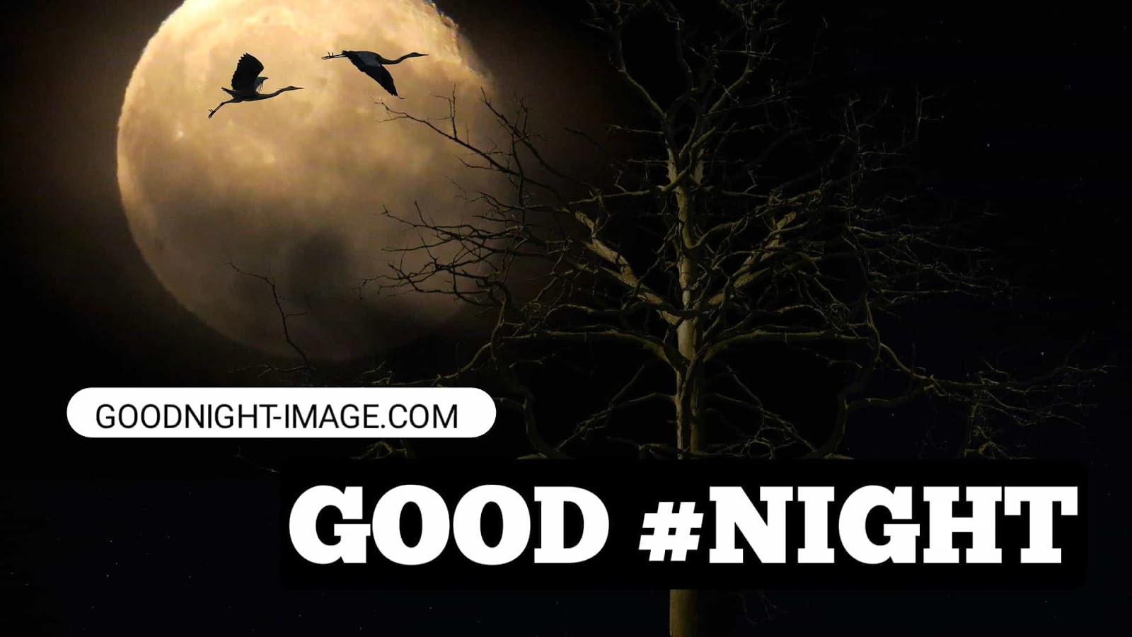 Best Goodnight Moon Images - Photo Caption - HD Wallpaper 