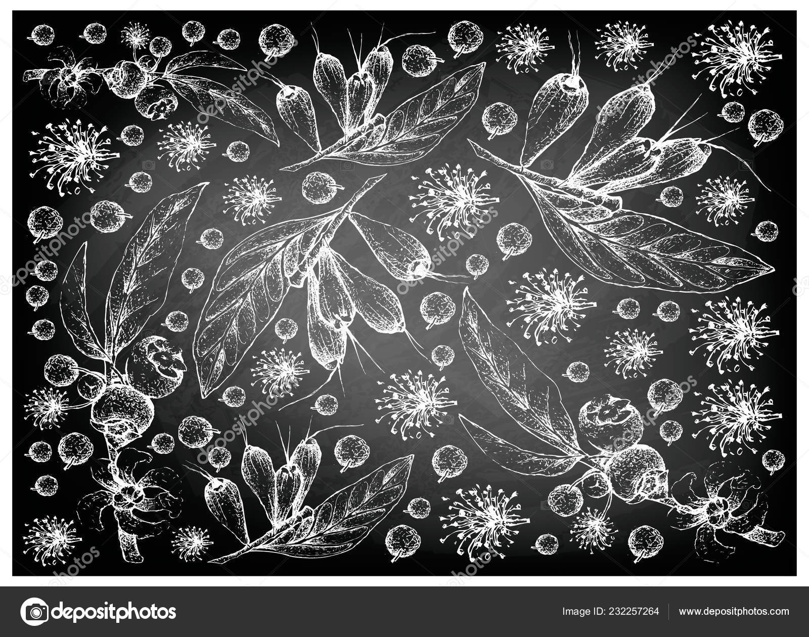 Tropical Fruit - HD Wallpaper 