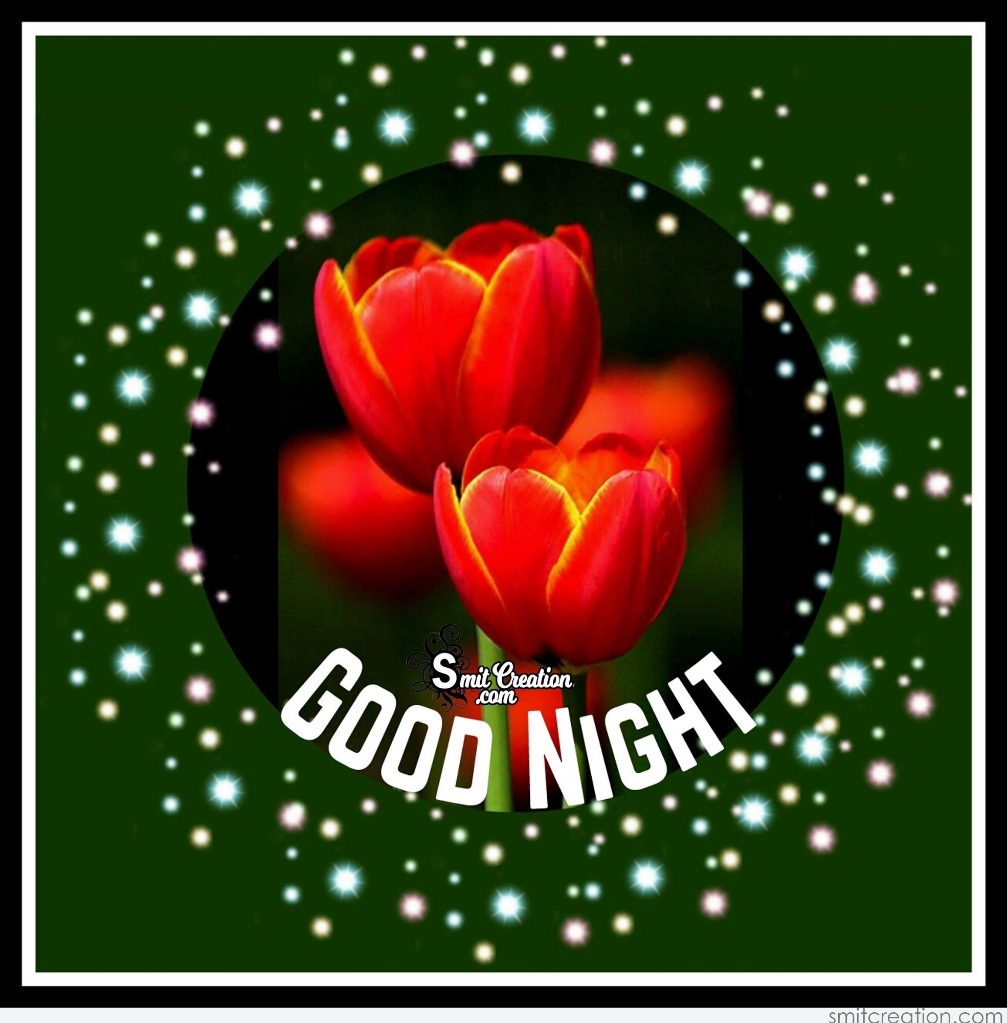 Good Night Rose Wallpaper Download - Good Night Photos Flowers - 1969x1999  Wallpaper 