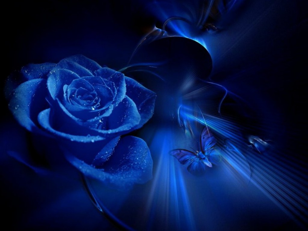 Blue Beauty Wallpaper - Blue Rose Angel - HD Wallpaper 