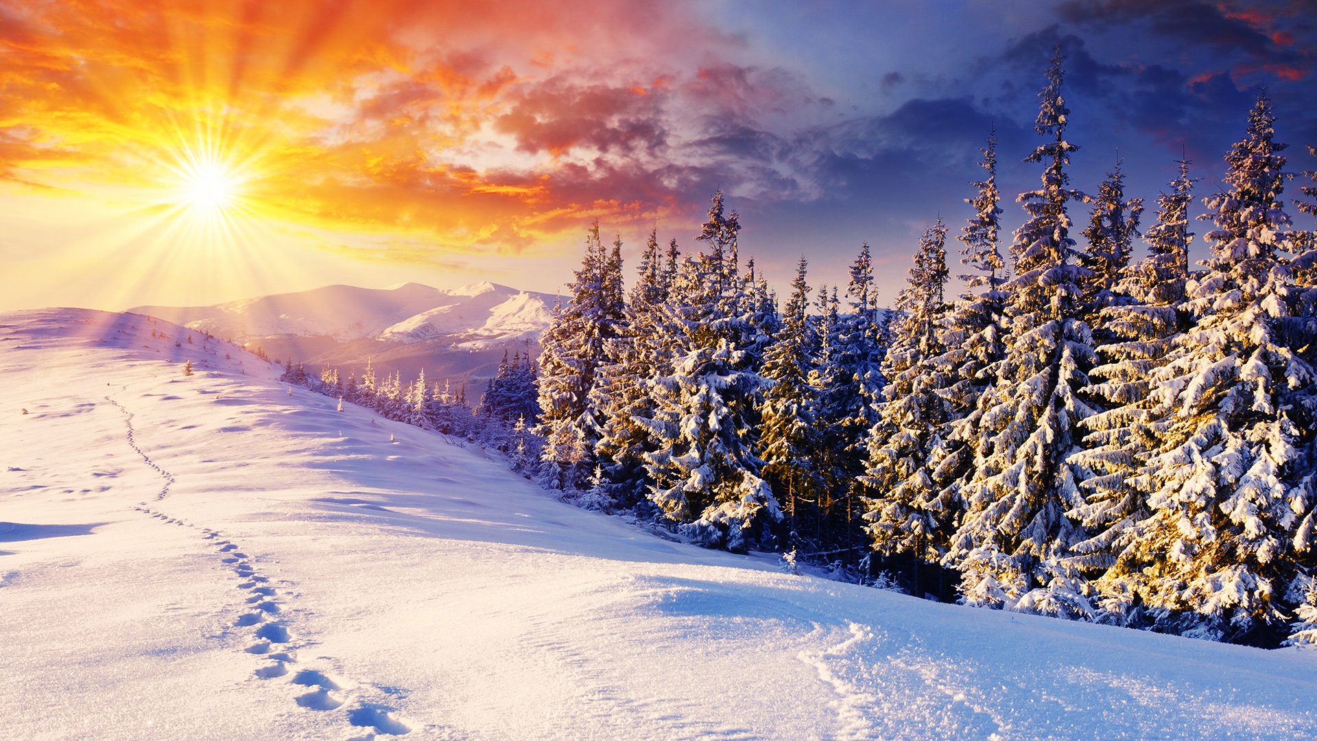Winter Wallpaper Hd - HD Wallpaper 