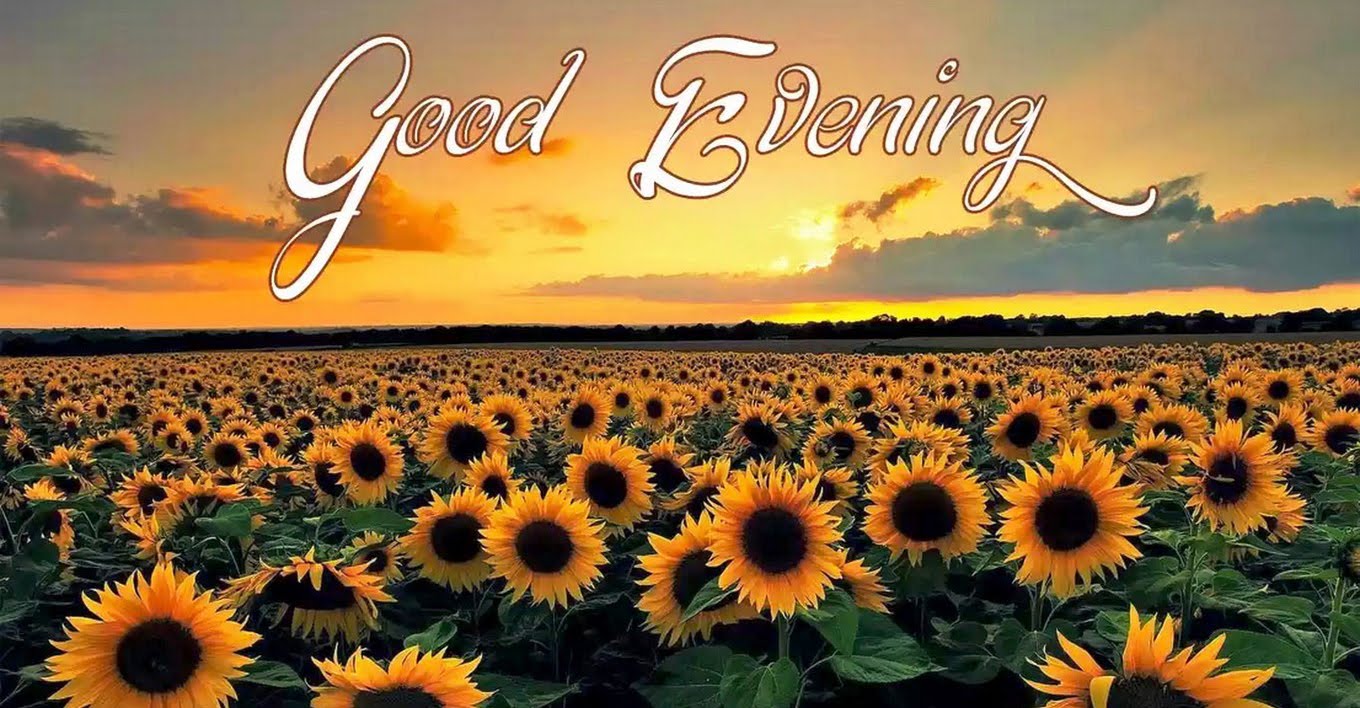 Good Morning Good Night Wallpaper - Good Evening Images Download - HD Wallpaper 