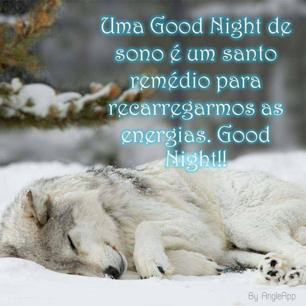 Wolf Sleeping In Snow - HD Wallpaper 