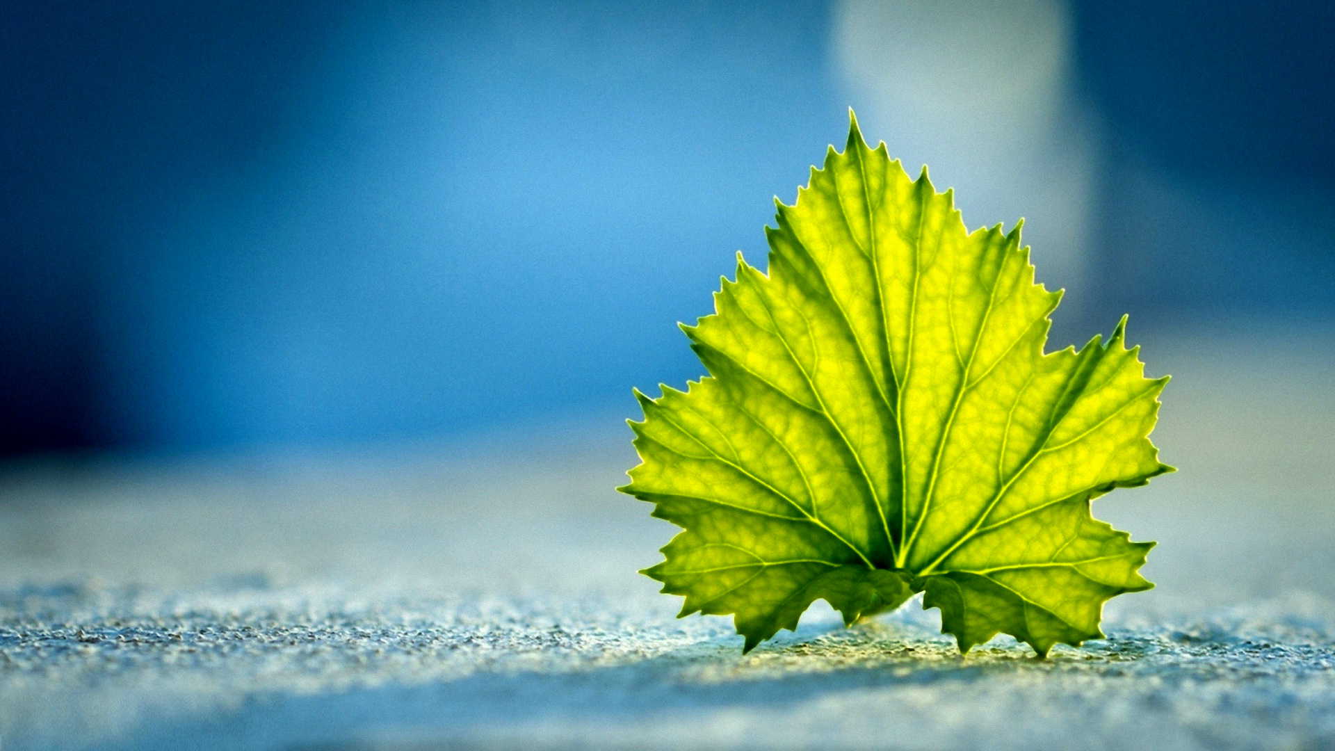 Pleasant Wallpaper For Desktop - HD Wallpaper 