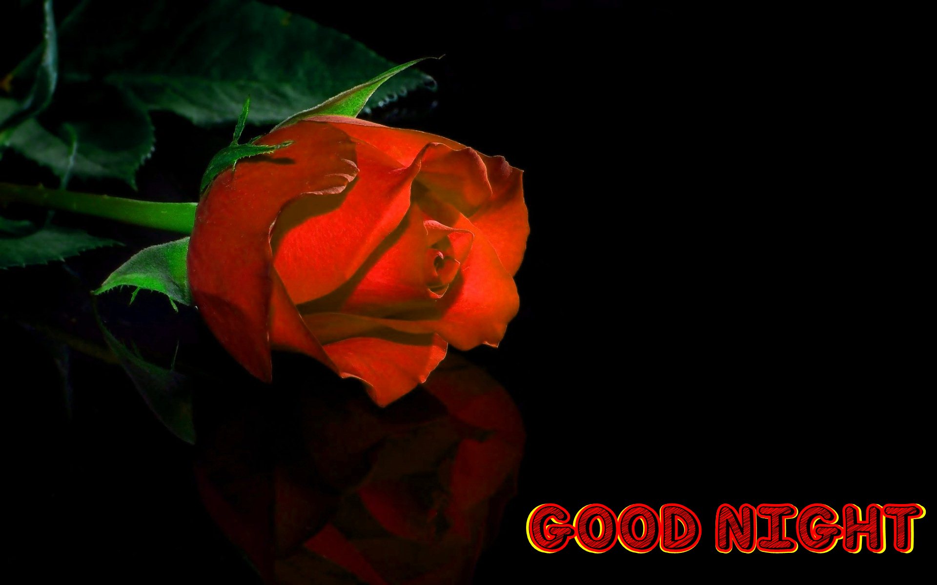 Red Rose Hd Good Night - HD Wallpaper 