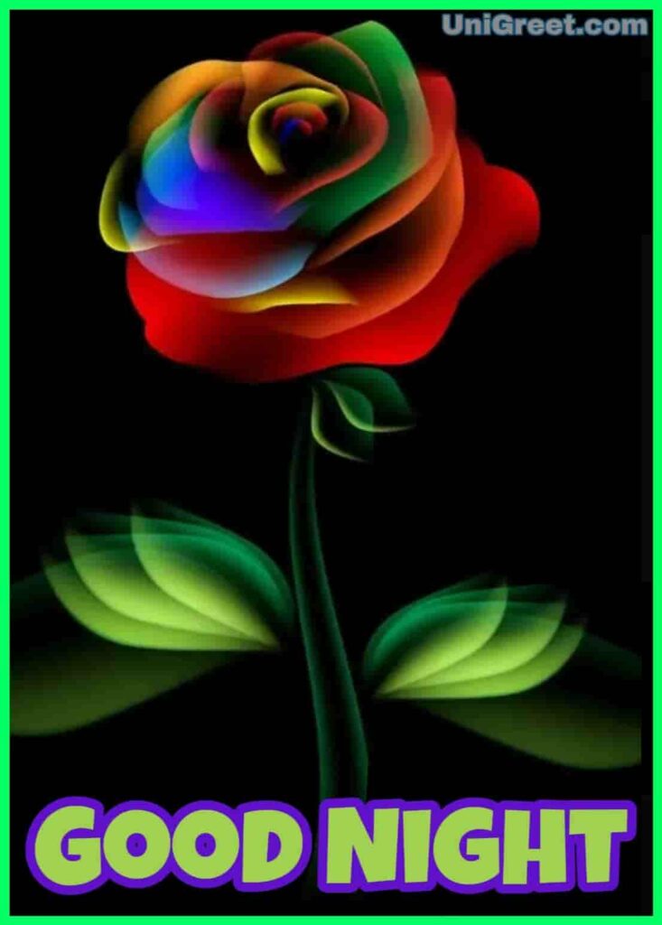 Beautiful Good Night With Rose Wallpaper - Rose Flower Wallpaper For Mobile  - 733x1024 Wallpaper 