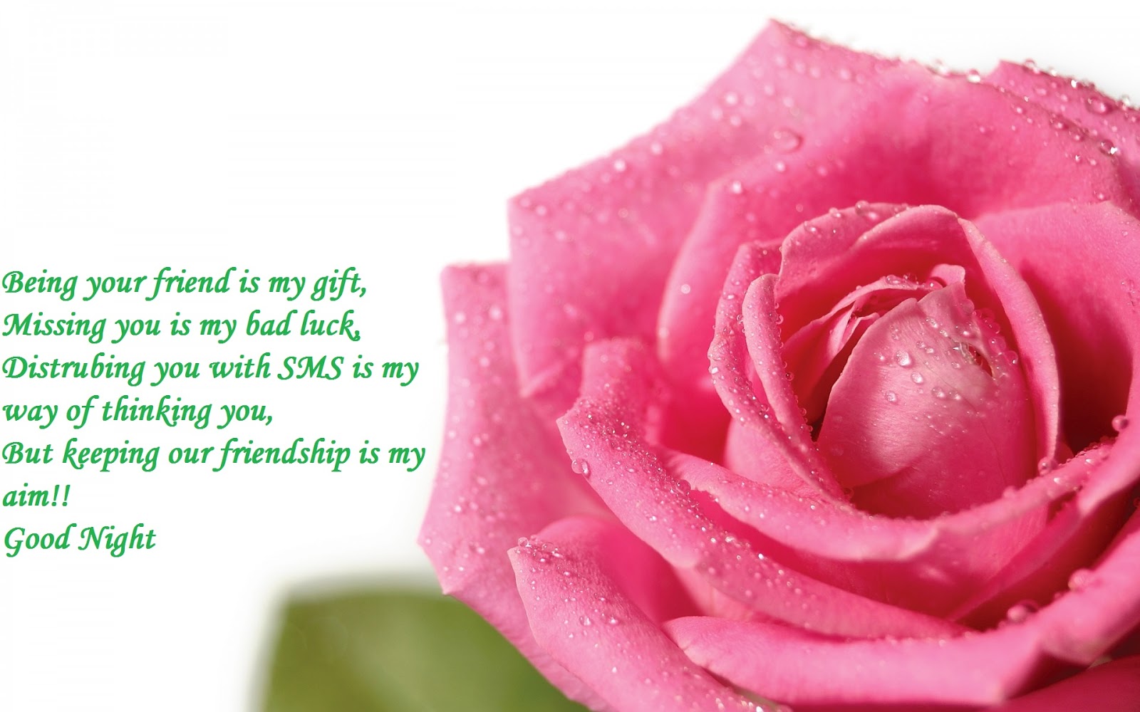 Love Quotes Pink Roses - HD Wallpaper 