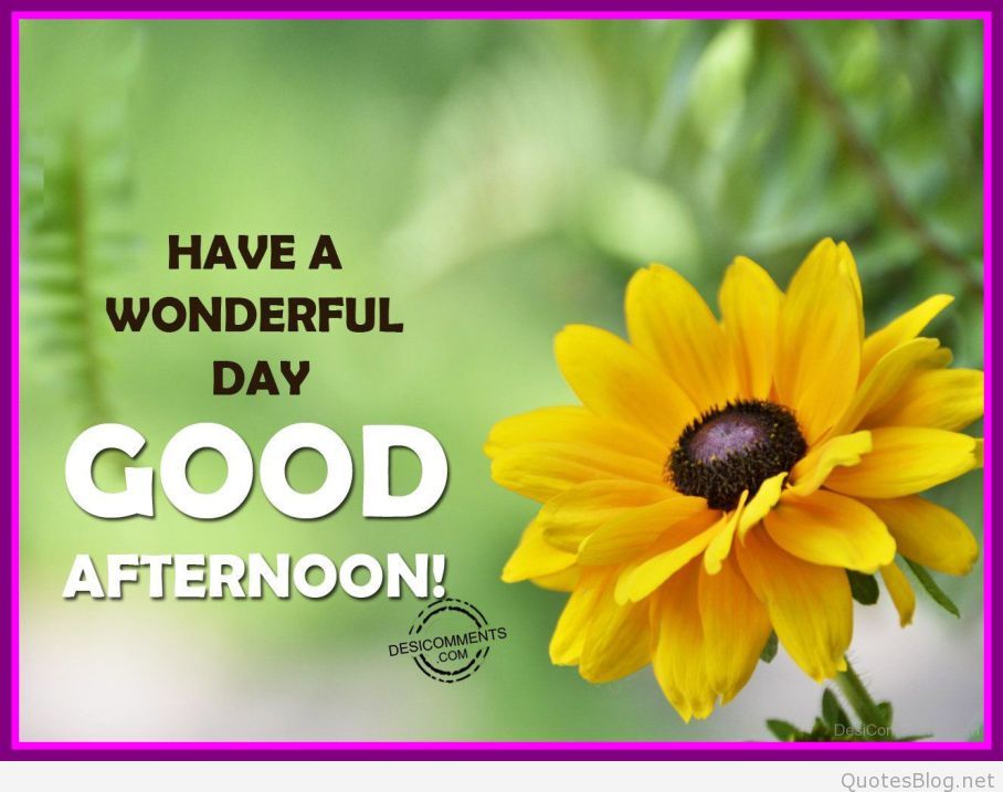 Cool Good Afternoon And Quotes Good Afternoon With Quotes 908x717 Wallpaper Teahub Io