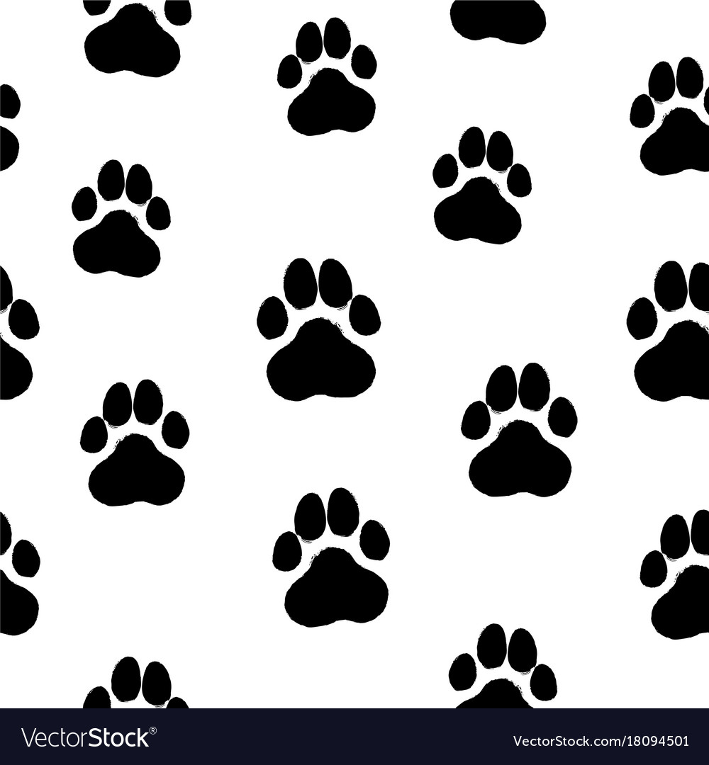 Dog Paws - HD Wallpaper 