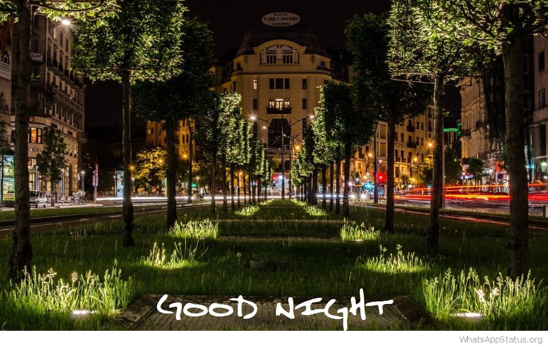 Good Night Wishes Wallpaper - Good Morning Good Night Wish - HD Wallpaper 
