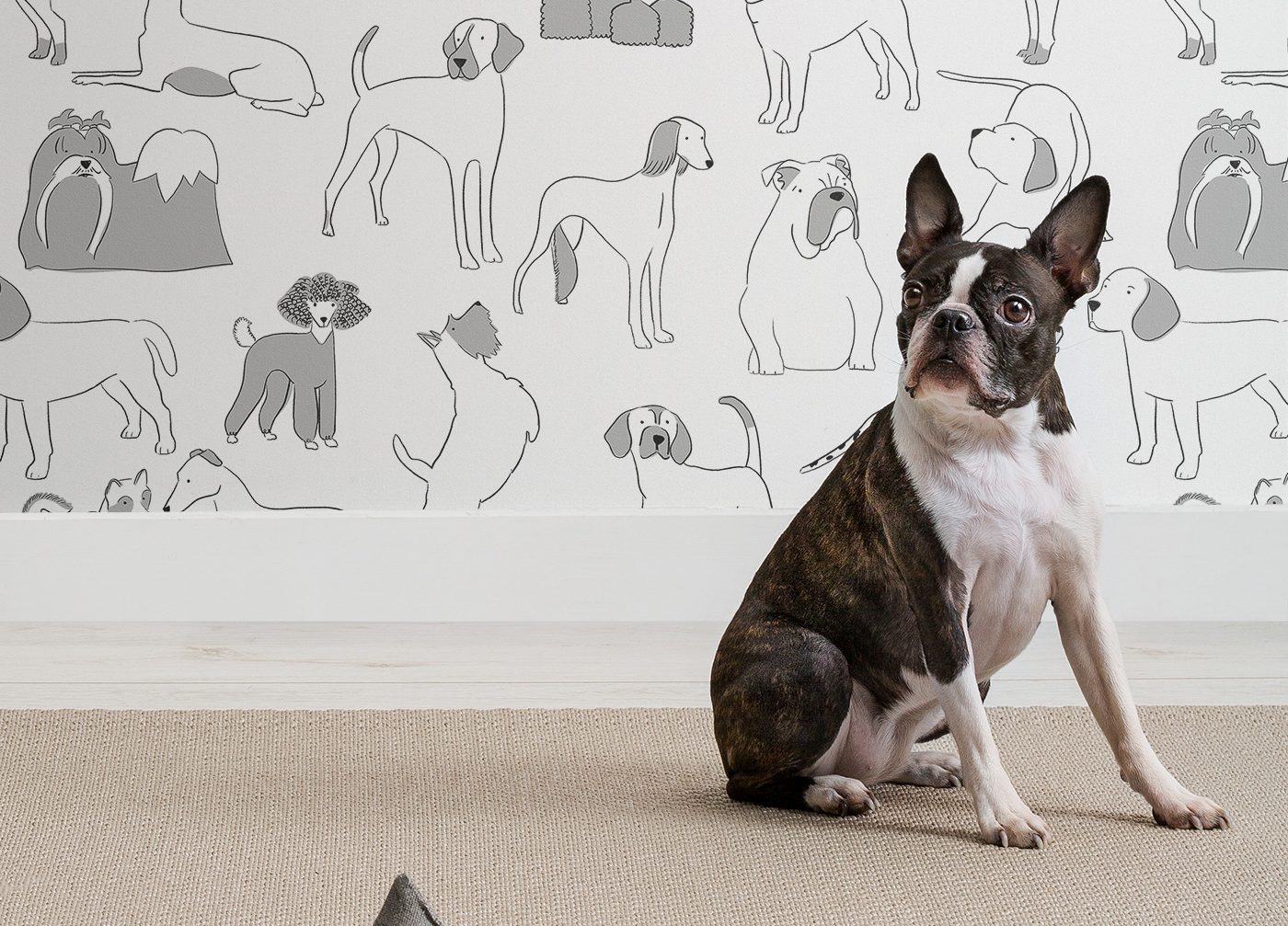 The Best Dog Home Decor Ideas - Dog Wallpaper Wall - HD Wallpaper 