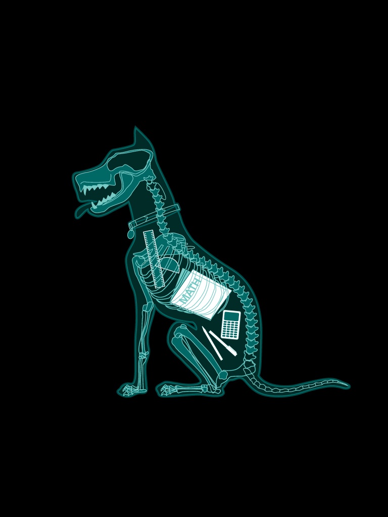 X Ray Of Dog - HD Wallpaper 