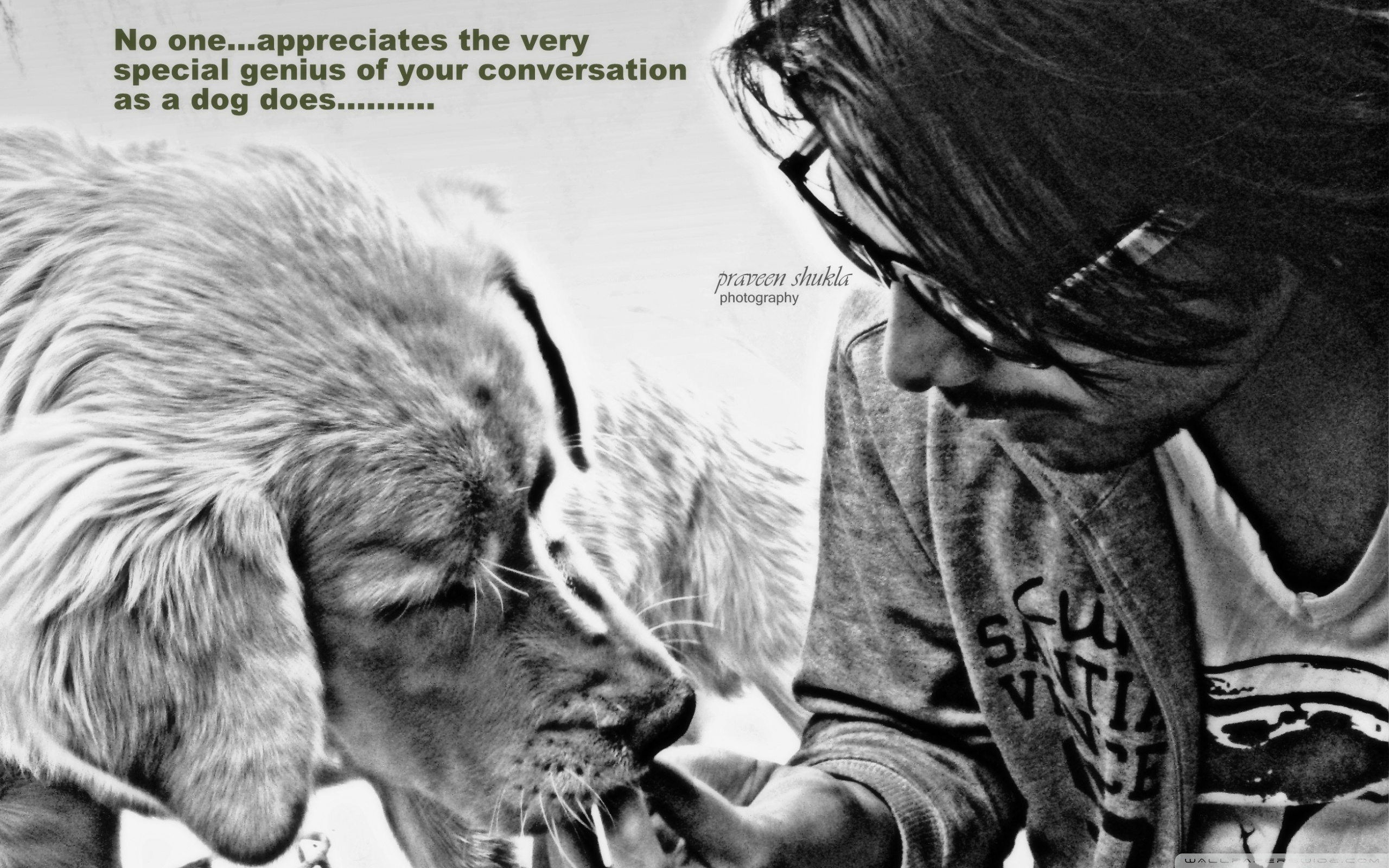 Dog Lover 2560x1600 Wallpaper teahub.io