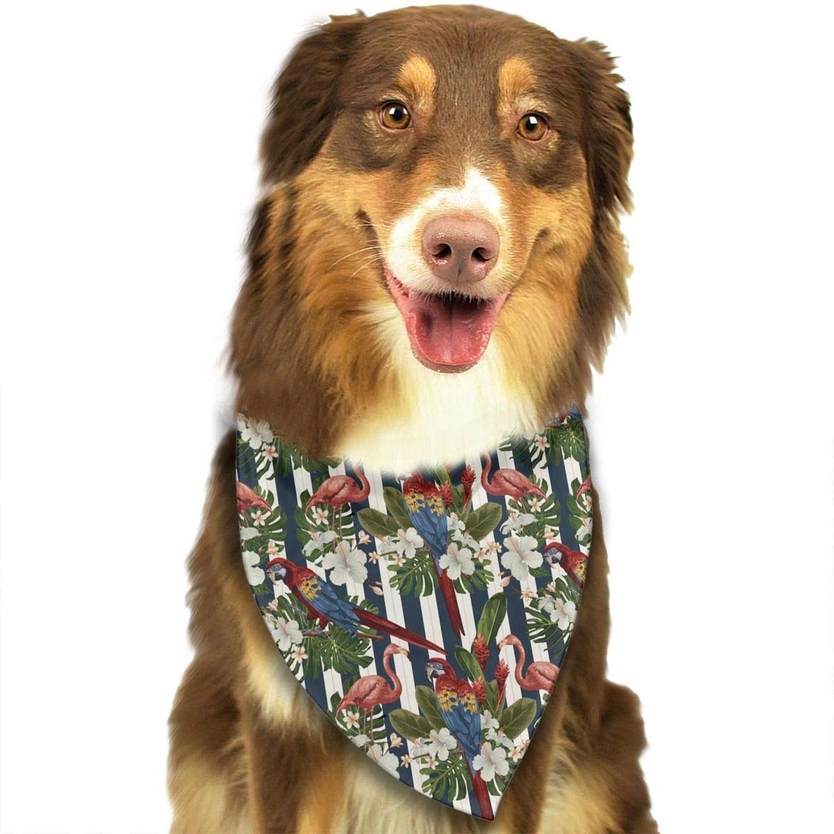 Dog Catches Something - HD Wallpaper 