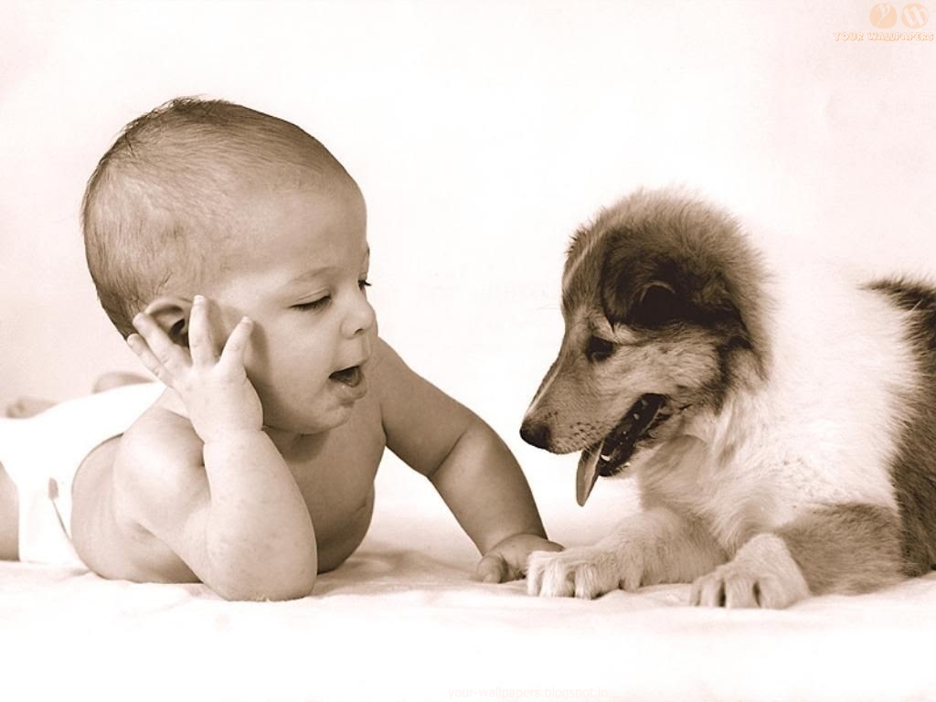 Desktop Cute Baby Dogs Wallpapers - Cute Baby With Dog - 1024x768 Wallpaper Desktop Cute Baby Dogs Wallpapers - Cute Baby With Dog - 1024x768 Wallpaper