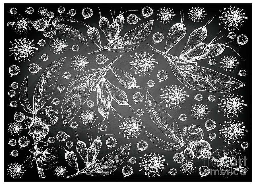 Tropical Fruit - HD Wallpaper 