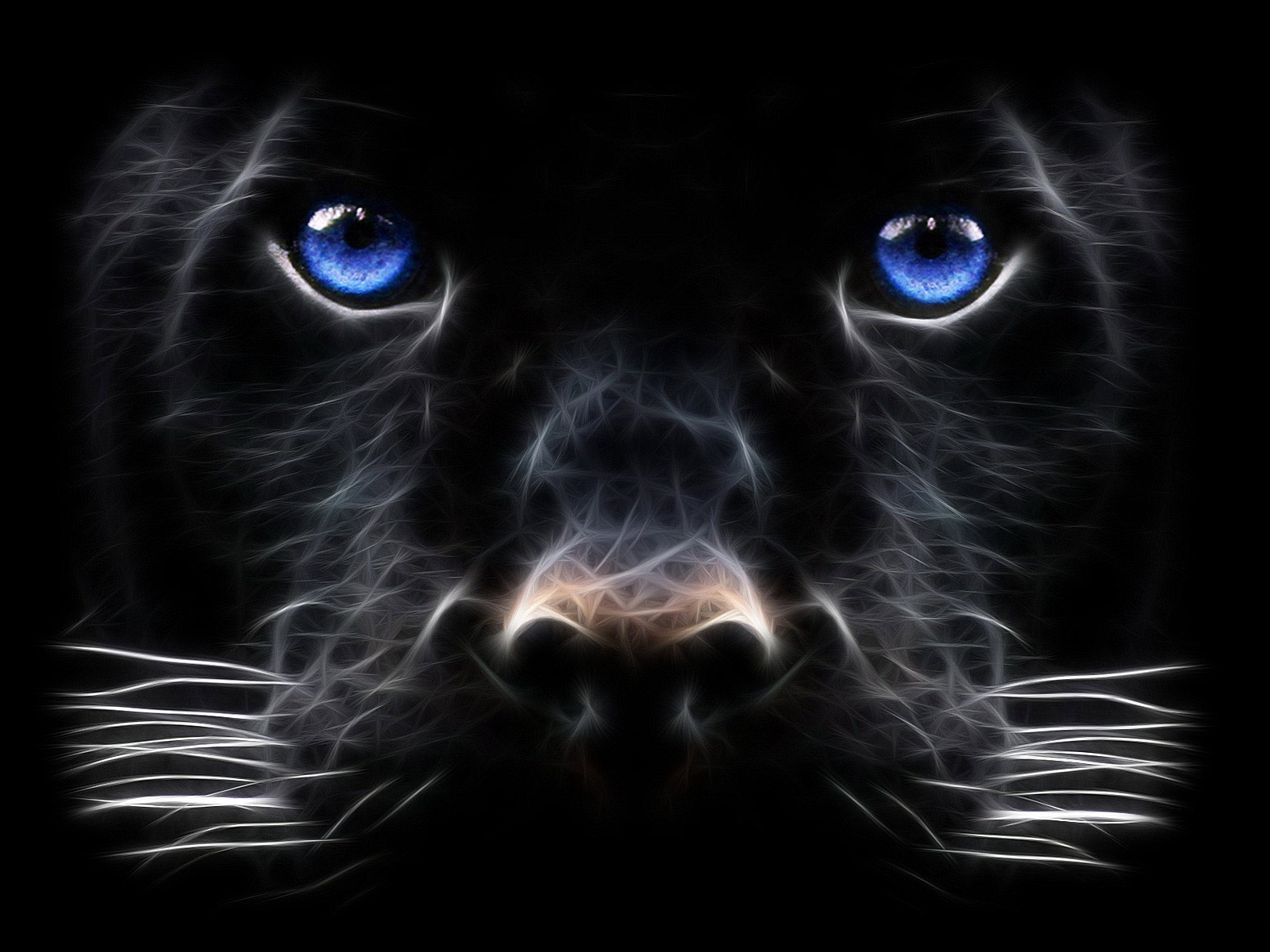 Animal Wallpapers For Desktop Computer Background - Black Panther Animal  With Blue Eyes - 1600x1200 Wallpaper 