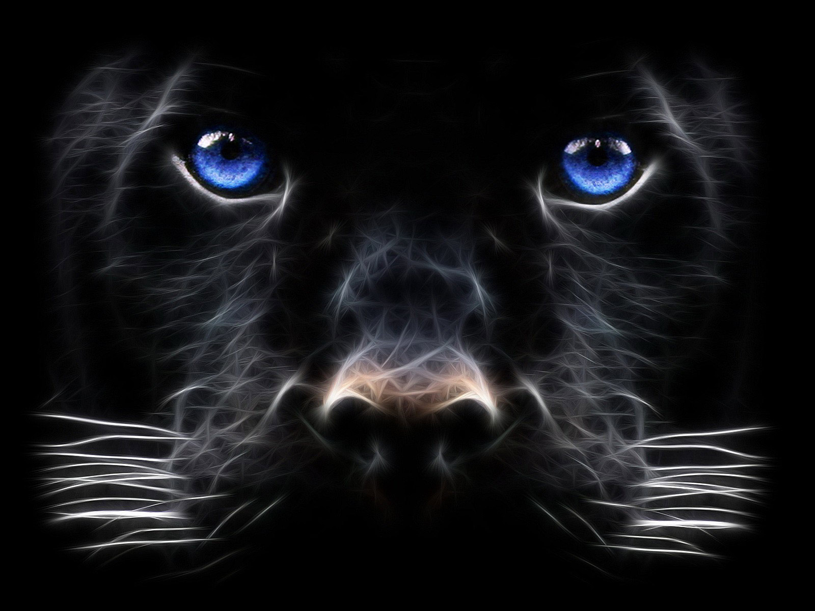 Animal Wallpapers For Desktop Computer Background - Black Panther Animal With Blue Eyes - HD Wallpaper 