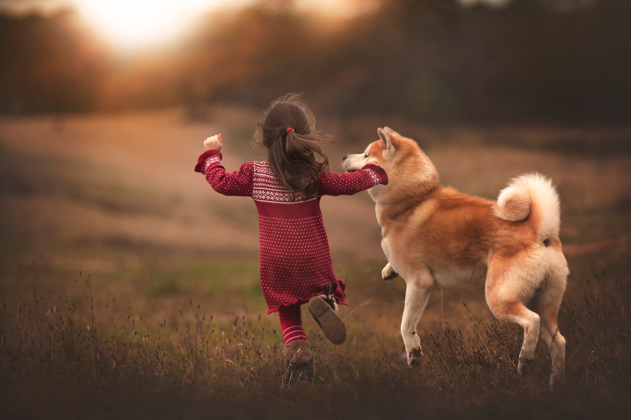 Wallpaper - Dog And Girl Hd - HD Wallpaper 