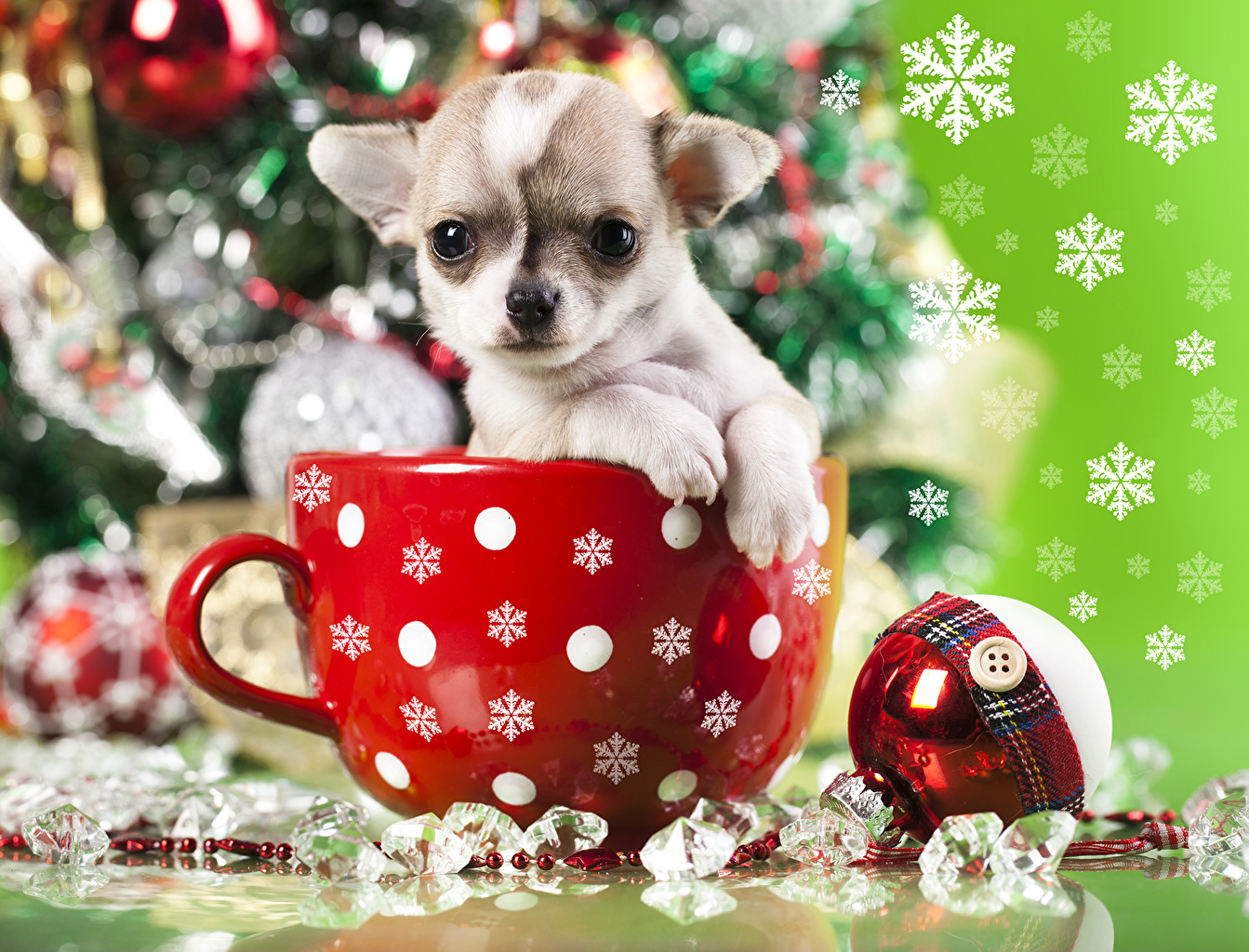 Christmas Wallpaper Animals - HD Wallpaper 