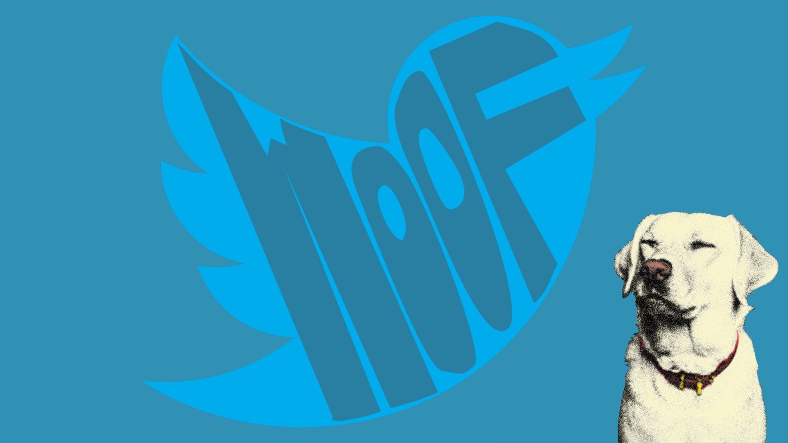 Dog Catches Something - HD Wallpaper 