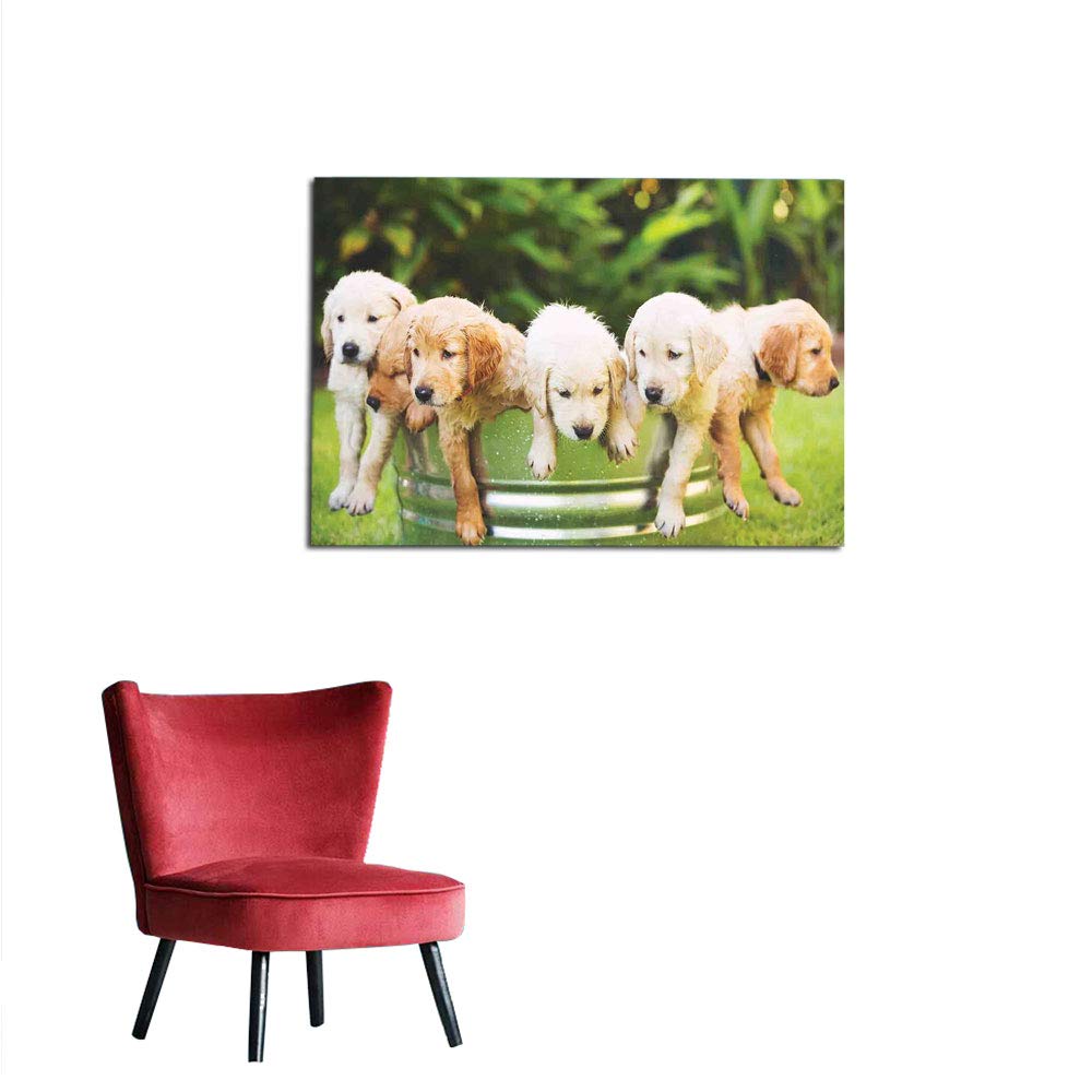 Spring Puppies - HD Wallpaper 