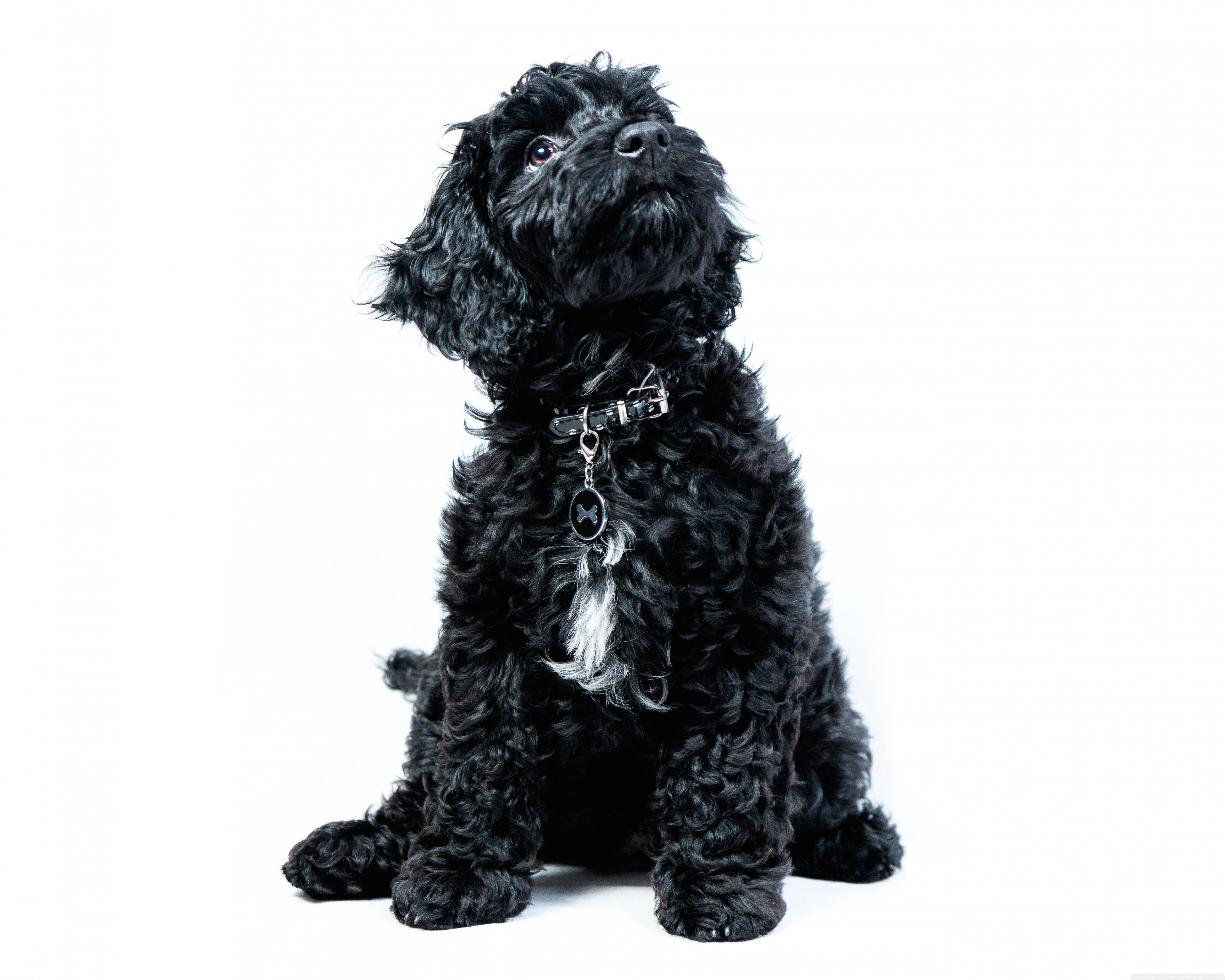 Mobile Phone - HD Wallpaper 