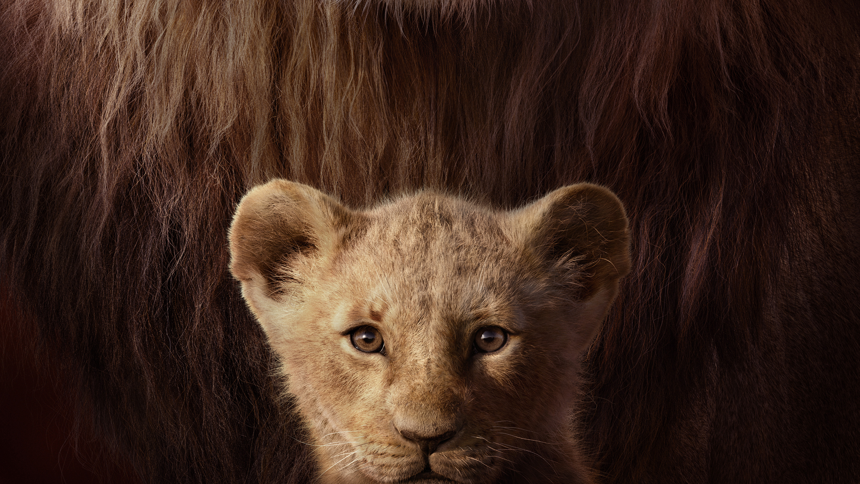 Lion King Wallpaper 2019 - HD Wallpaper 