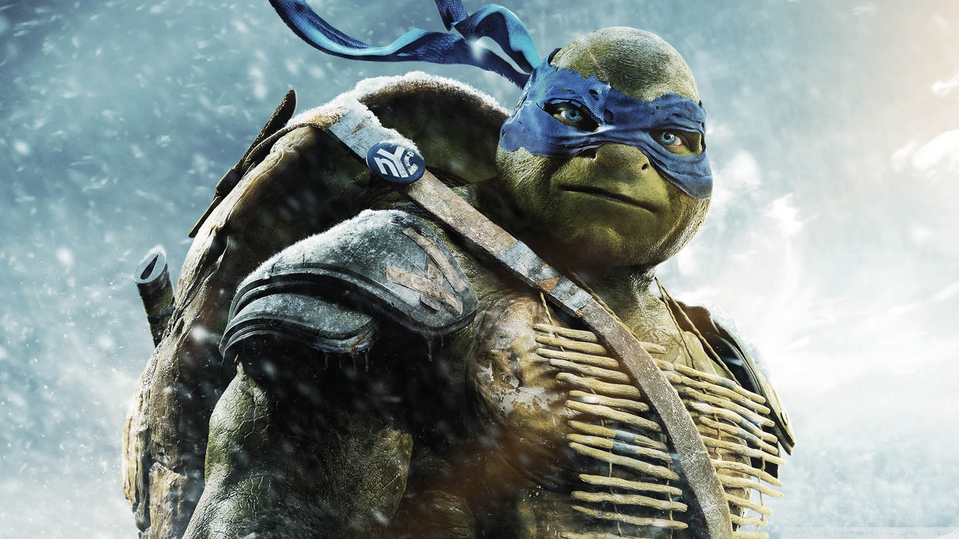 Teenage Mutant Ninja Turtles 2014 - HD Wallpaper 