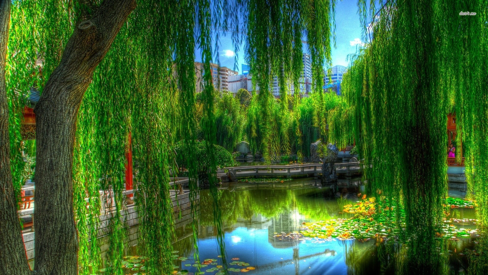 Willow Tree Wallpaper 
 Data Src Vertical Willow Tree - Weeping Willow Hd Background - HD Wallpaper 