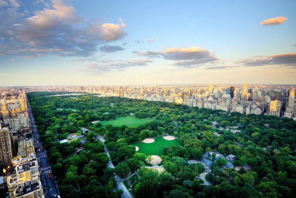 Central Park High Resolution - HD Wallpaper 