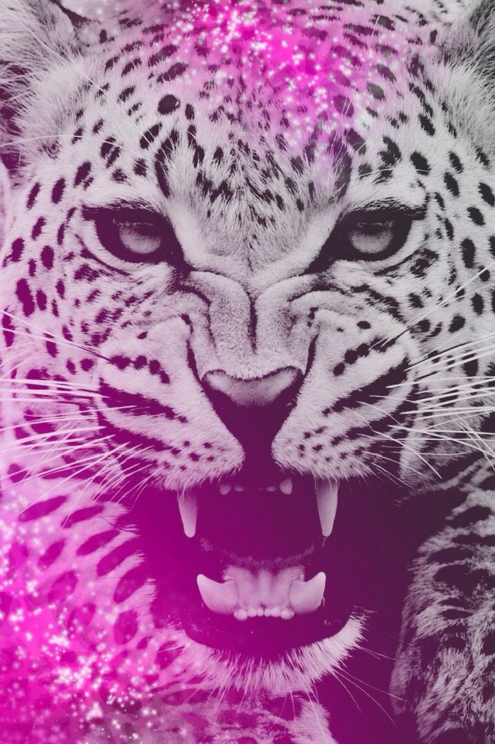 Pink Leopard - HD Wallpaper 