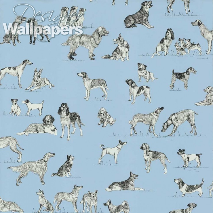 Best Friend - Dog Themed Wallpaper Uk - HD Wallpaper 