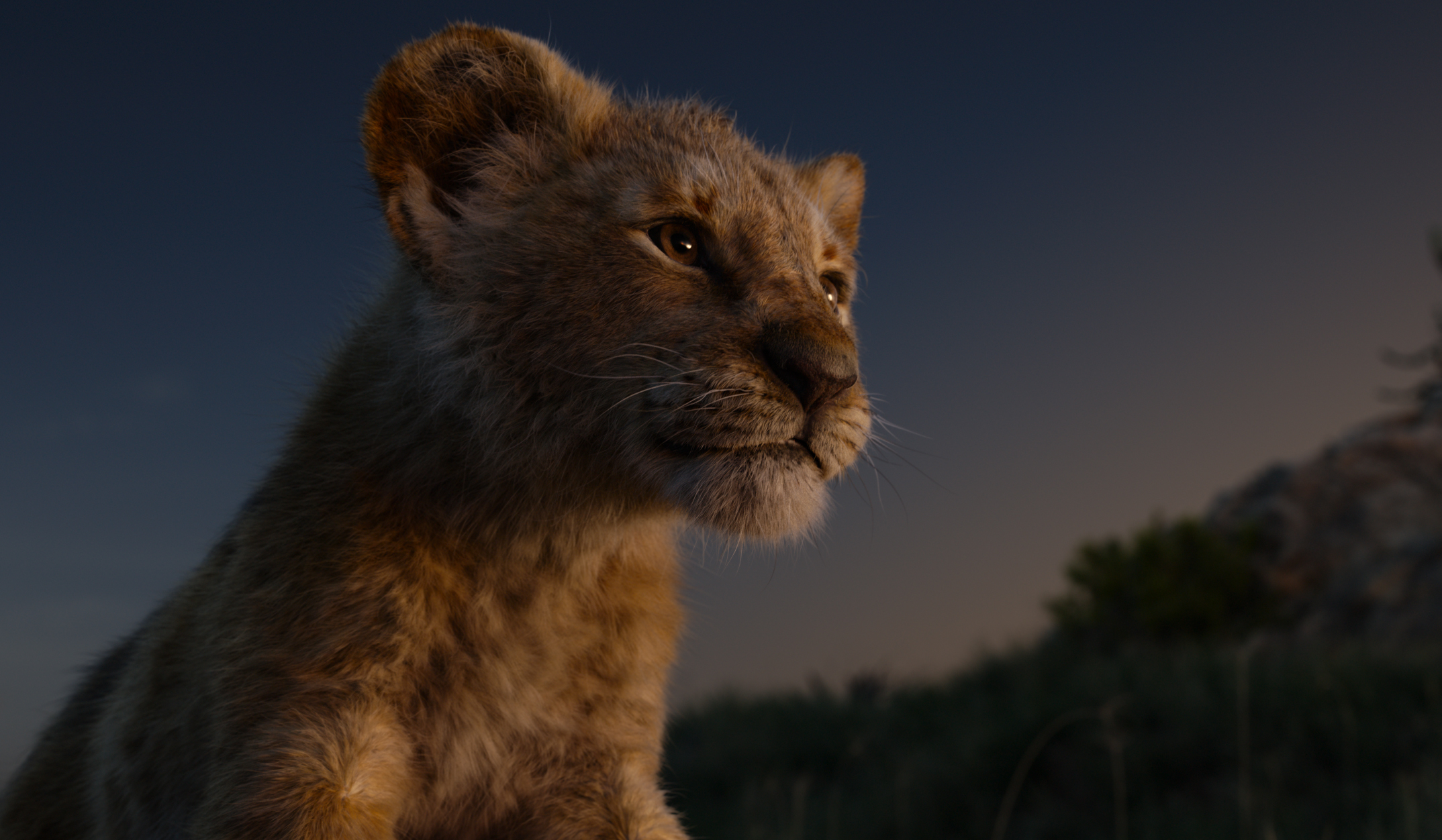 Lion King Baby Lion - HD Wallpaper 