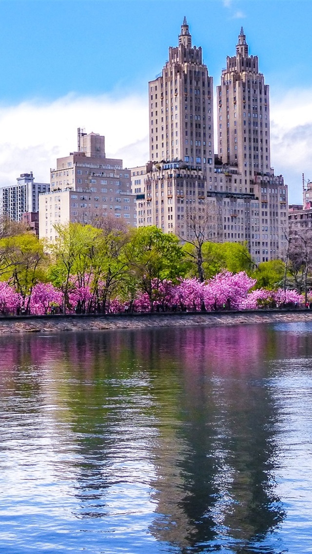 Iphone Wallpaper Central Park, Trees, Pond, City, Skyscrapers, - Spring In Central Park New York - HD Wallpaper 