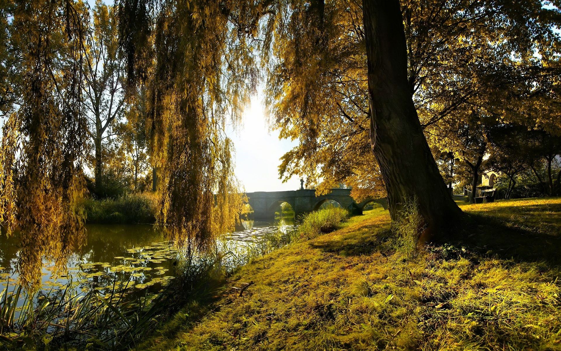 Wallpaper Willow, Tree, Bridge, River, Coast, Greenery - Willow Tree Desktop Background - HD Wallpaper 