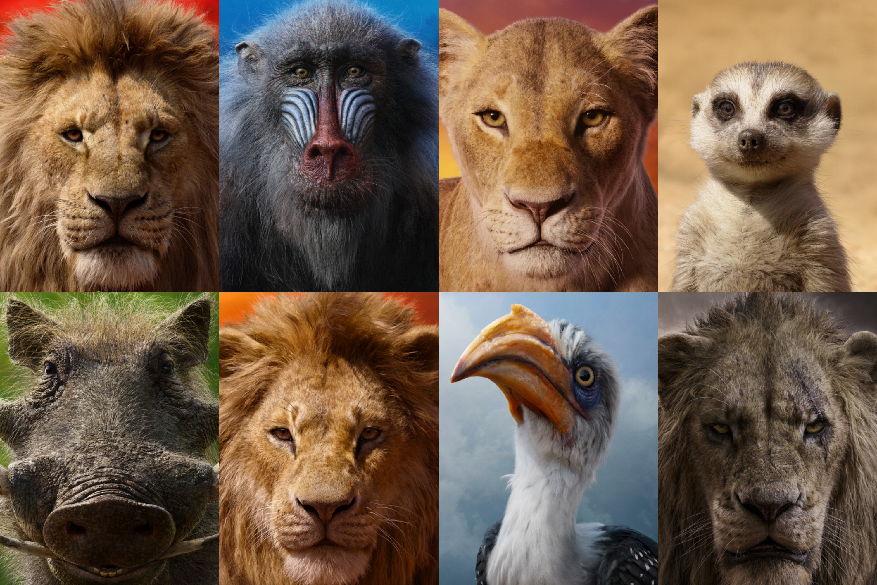 Lion King Characters 2019 - HD Wallpaper 
