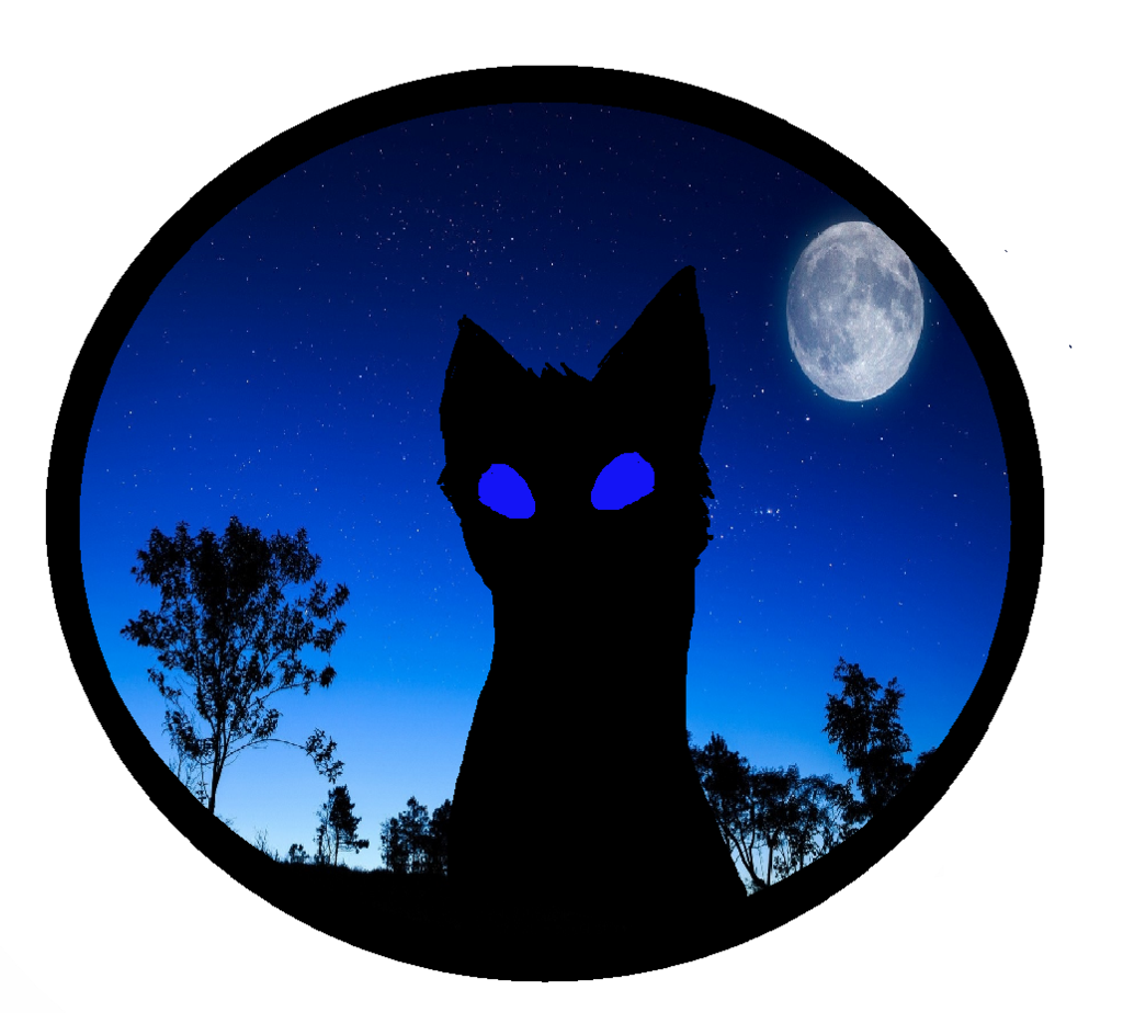 Desktop Wallpaper Dog Whiskers Cat - Moon Night Sky - HD Wallpaper 