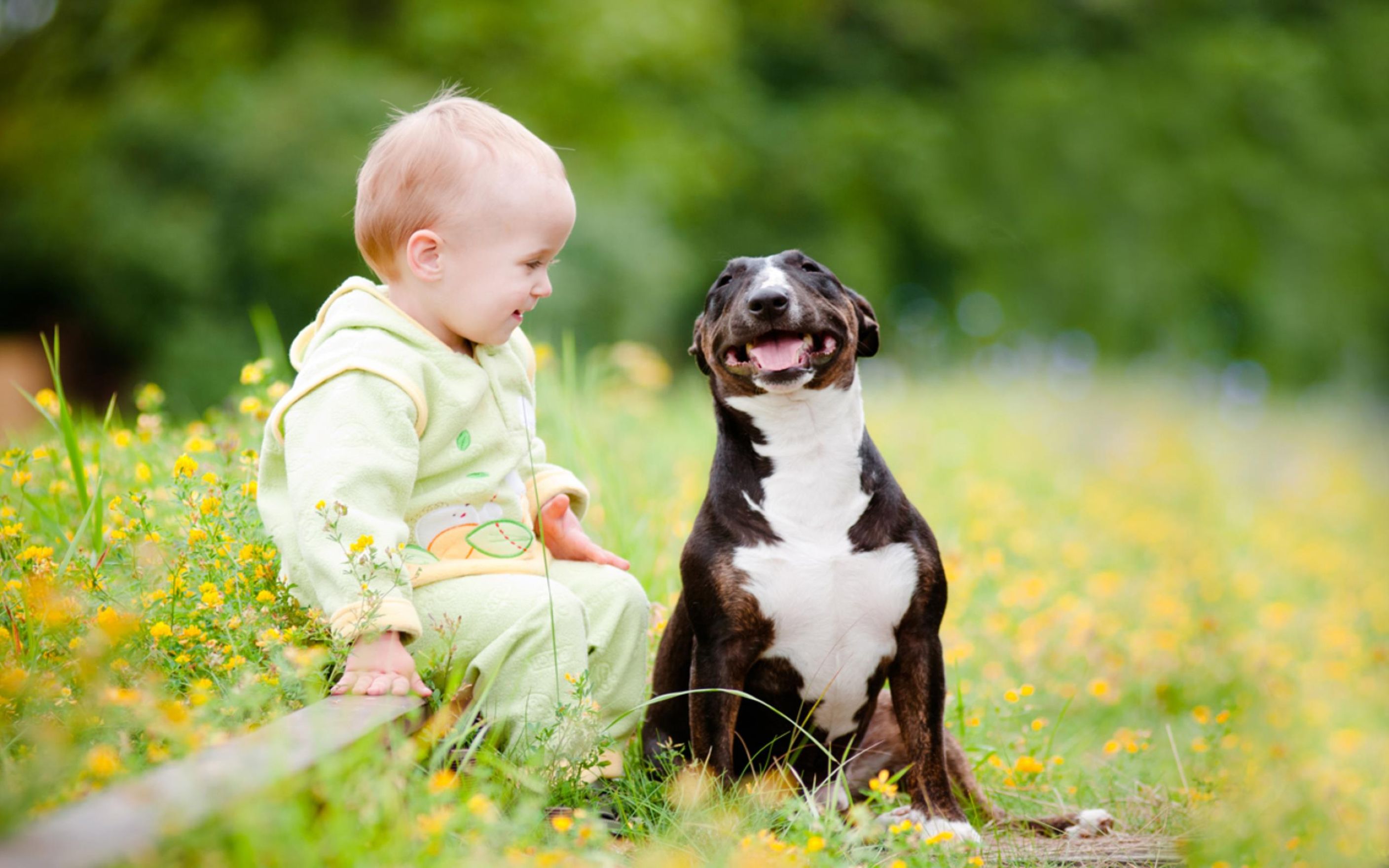Download Free Hd Cute Image Of A Small Child And Puppy - Cute Dogs And Kids - HD Wallpaper 